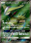 ビリジオンGX(061/060 SR)